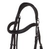 QHP Bridle  Salerno