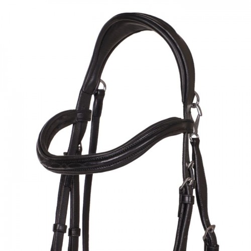 QHP Bridle  Salerno