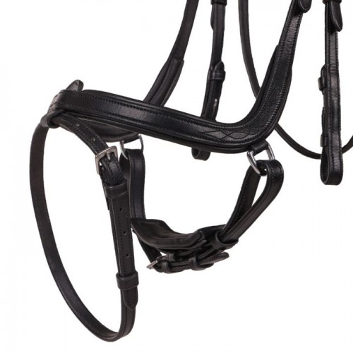QHP Bridle  Salerno
