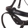 QHP Bridle  Salerno