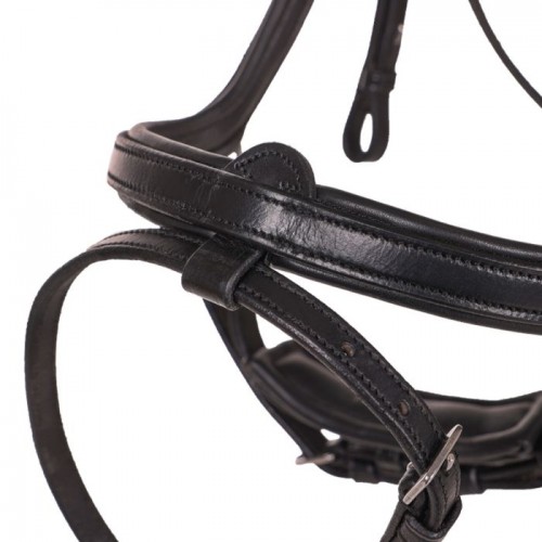 QHP Bridle  Salerno