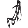 QHP Bridle  Salerno