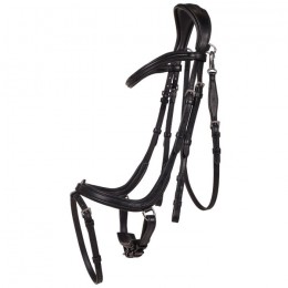 QHP Bridle  Salerno