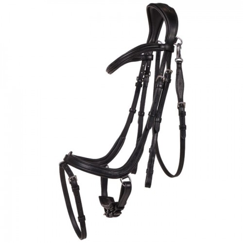 QHP Bridle  Salerno