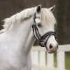 QHP Bridle Bixie