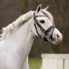 QHP Bridle Bixie