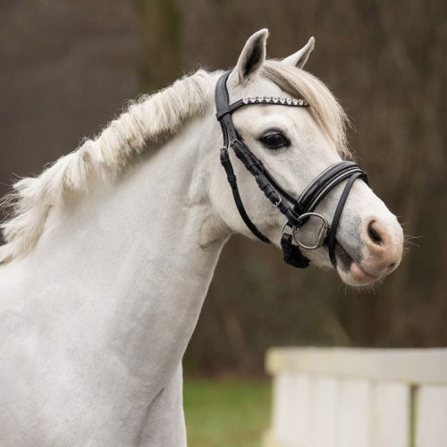 QHP Bridle Bixie