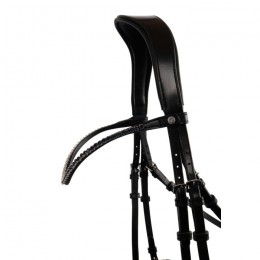 Montar FAIR Browband