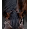 Waldhausen X-Line Bridle Relaxation II