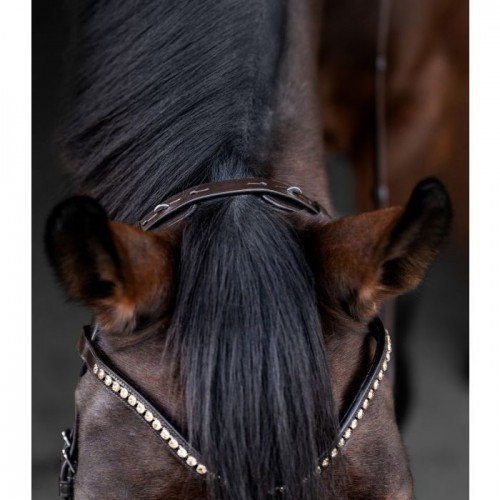 Waldhausen X-Line Bridle Relaxation II