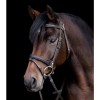 Waldhausen X-line Bridle Work
