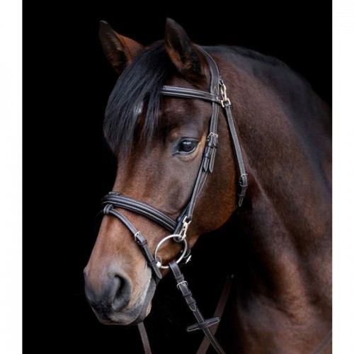 Waldhausen X-line Bridle Work