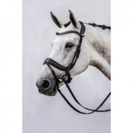 PS of Sweden Paladin anatomical bridle