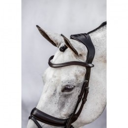 PS of Sweden Paladin anatomical bridle