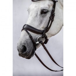 PS of Sweden Paladin anatomical bridle