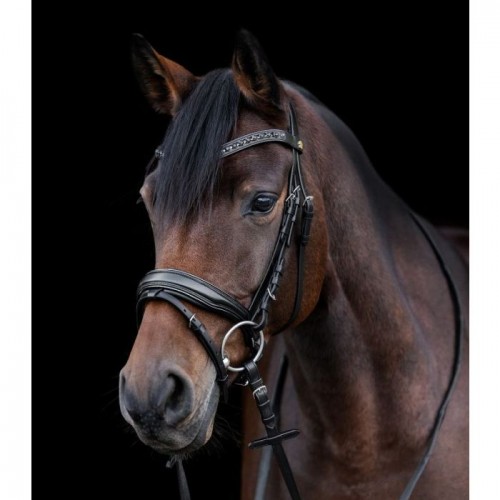 Waldhausen S-line bridle