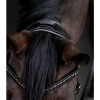 Waldhausen S-line bridle