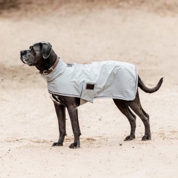 Kentucky Dog rain coat