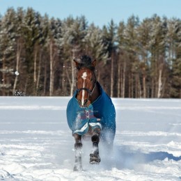 Rhino Original Turnout Medium Vari-Layer 250g