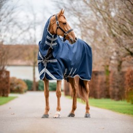 Amigo 1200D Integrated Turnout