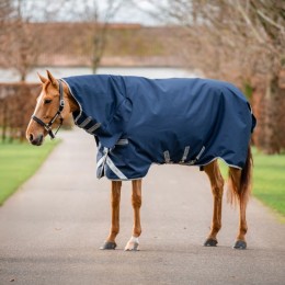 Amigo 1200D Integrated Turnout