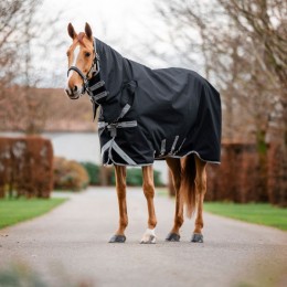 Amigo 1200D Integrated Turnout