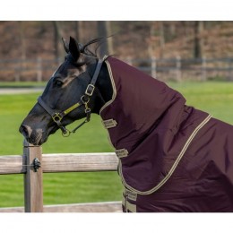 Amigo Hero Ripstop Hood