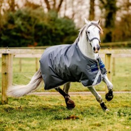 Amigo Bravo 12 Lite 100g