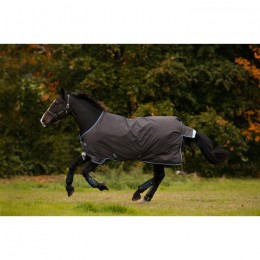 Amigo Bravo 12 Lite 100g