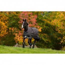 Amigo Bravo 12 Lite 100g