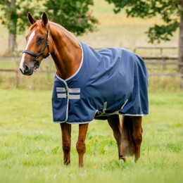 Amigo Ripstop 900 Original 50g