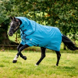 Amigo Hero 900 Revive Plus 50g