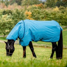 Amigo Hero 900 Revive Plus 200g