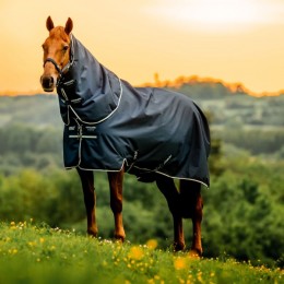 Amigo Ripstop Plus Pony Turnout