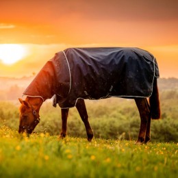 Amigo Ripstop Plus Pony Turnout