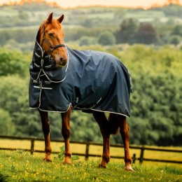 Amigo Ripstop Plus Pony Turnout