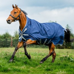 Amigo Bravo 12 Wug Medium 250g