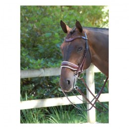 Dyon double bridle with large crack noseband brown, white padding