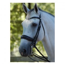 Dyon double bridle with large crack noseband