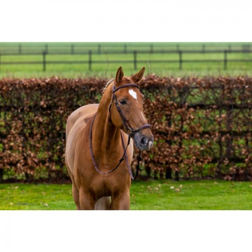 Trust Barcelona bridle dropped noseband