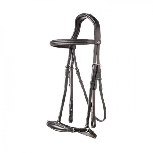 Trust Barcelona bridle dropped noseband