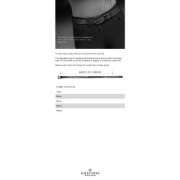 Equestrian Stockholm FW'24 Striking Valley Modern Contest Belt