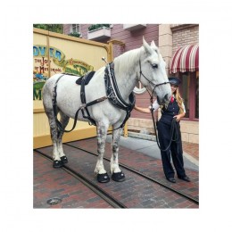 F.R.A. Cavallo Hoof Boot BFB