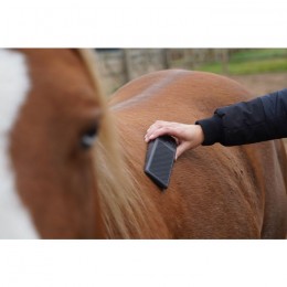 Excellent Horse Grooming Brush