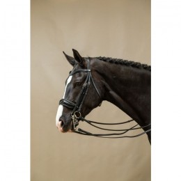 Dyon Double bridle with wide patent leather noseband