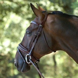Dyon medium crank snaffle bridle flash noseband
