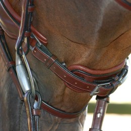 Dyon medium crank snaffle bridle flash noseband