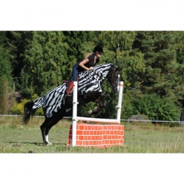 Bucas Buzz-Off Riding Zebra
