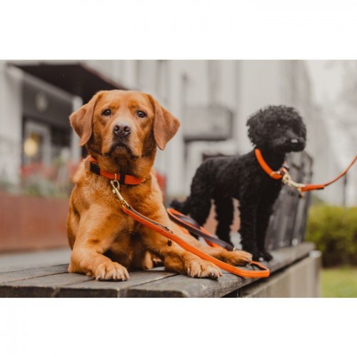 Kentucky Plaited Nylon dog lead 2m