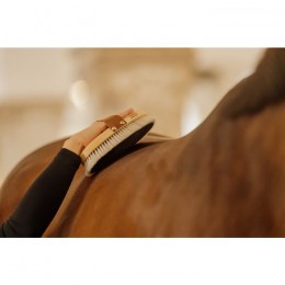 Grooming Deluxe Overall Brush Body Shine